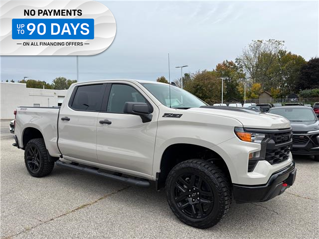 2026 Chevrolet Silverado 1500 Custom Trail Boss (Stk: TT141880) in Caledonia - Image 7 of 46