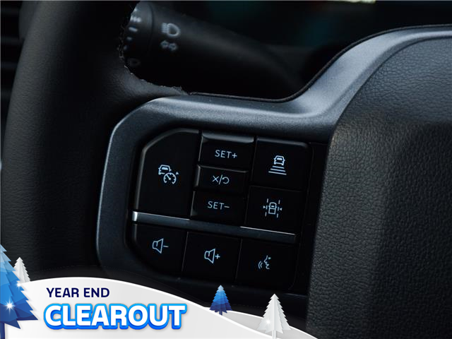 2025 Ford F-150 XLT (Stk: F51914) in GEORGETOWN - Image 21 of 24