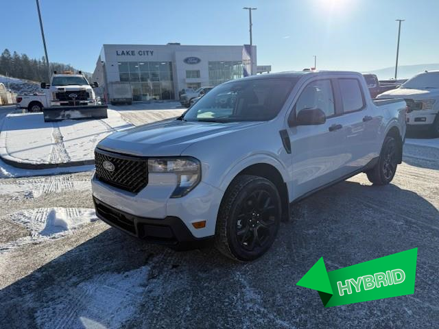 2026 Ford Maverick XLT (Stk: 6T016) in Williams Lake - Image 1 of 13