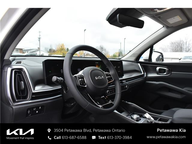 2025 Kia Sorento Plug-In Hybrid EX (Stk: K25193) in Petawawa - Image 17 of 30
