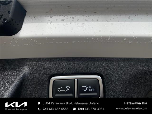 2025 Kia Sorento Plug-In Hybrid EX (Stk: KP0810) in Petawawa - Image 19 of 30