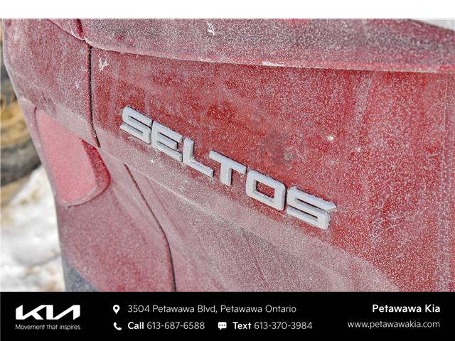 2023 Kia Seltos SX Turbo w/Black Interior (Stk: K26138A) in Petawawa - Image 9 of 9