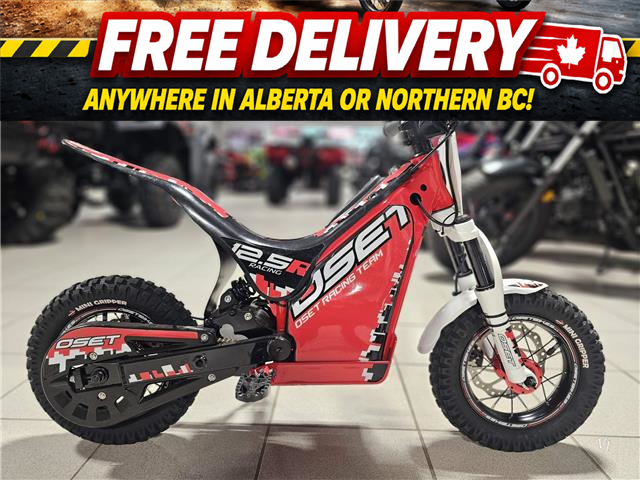 2023 Toyota 12 EDRIVE KIDS E-BIKE (Stk: 25ST-002) in Grande Prairie - Image 1 of 8