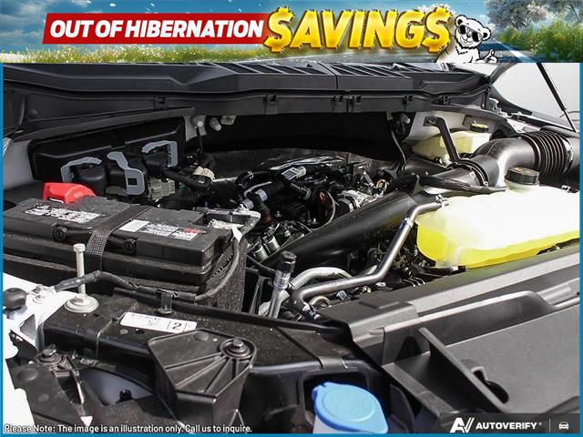 2025 Ford F-150 XLT (Stk: MFLFH374) in Sault Ste. Marie - Image 6 of 24