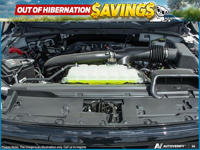 2025 Ford F-150 XLT (Stk: MFLFH435) in Sault Ste. Marie - Image 6 of 24