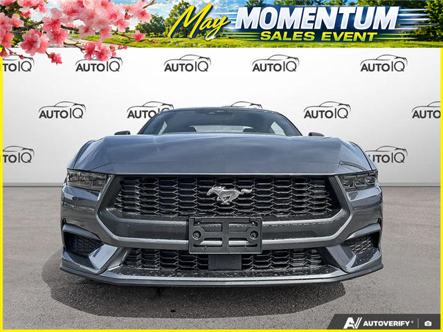 2026 Ford Mustang EcoBoost (Stk: AFL260181) in Hamilton - Image 2 of 16