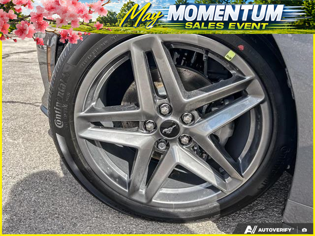 2026 Ford Mustang EcoBoost (Stk: AFL260181) in Hamilton - Image 6 of 16