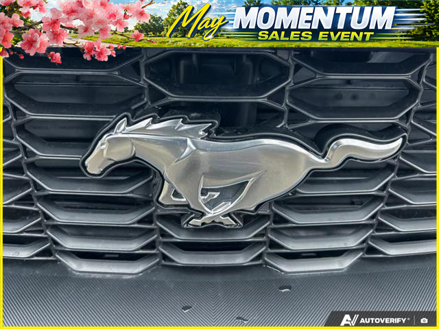 2026 Ford Mustang EcoBoost Premium (Stk: 6G013) in Oakville - Image 9 of 22