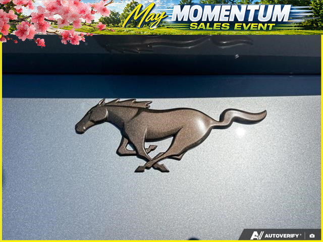 2026 Ford Mustang EcoBoost Premium (Stk: 6G015) in Oakville - Image 9 of 23