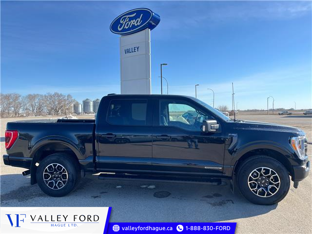 2023 Ford F-150 XLT (Stk: U75740) in Hague - Image 1 of 14