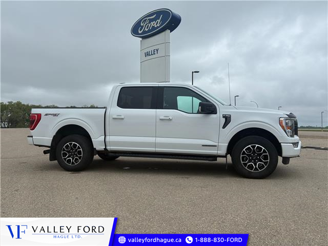 2021 Ford F-150 XLT (Stk: A21003) in Hague - Image 1 of 14