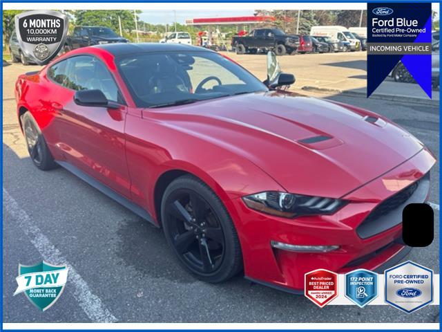 2021 Ford Mustang EcoBoost Premium (Stk: OFLT1026) in Oakville - Image 1 of 6 2021 Ford Mustang EcoBoost Premium (Stk: OFLT1026) in Oakville - Image 1 of 6
