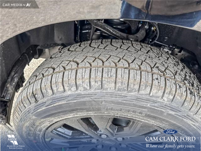 2025 Ford F-150 XLT (Stk: 25T7069) in Red Deer - Image 7 of 24