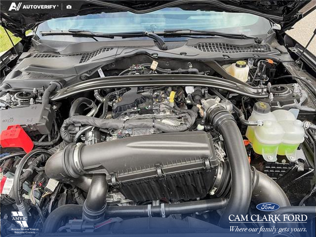 2026 Ford Mustang EcoBoost (Stk: 26AC5293) in Airdrie - Image 10 of 25 2026 Ford Mustang EcoBoost (Stk: 26AC5293) in Airdrie - Image 10 of 25