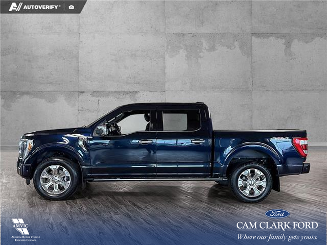 2022 Ford F-150 Platinum (Stk: RC20201) in Airdrie - Image 3 of 24