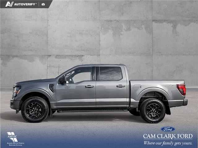2024 Ford F-150 XLT (Stk: U38148) in Red Deer - Image 3 of 25