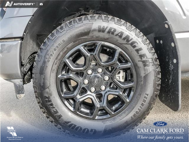 2024 Ford F-150 XLT (Stk: U38148) in Red Deer - Image 6 of 25
