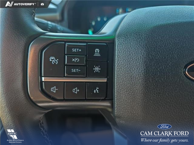 2024 Ford F-150 XLT (Stk: U38197) in Red Deer - Image 14 of 22
