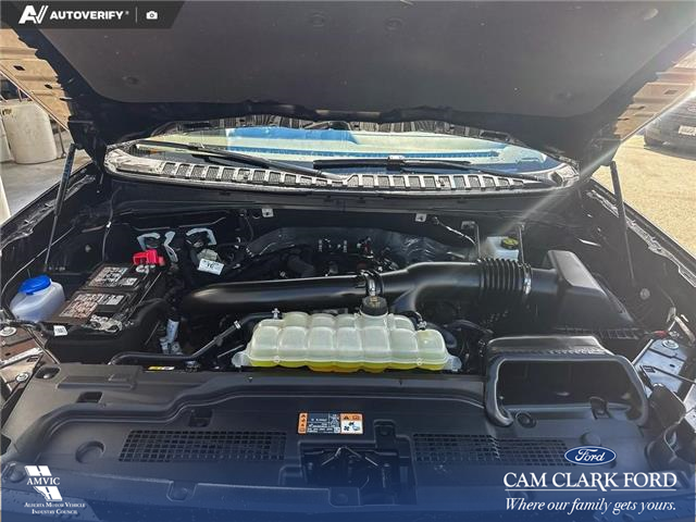 2025 Ford Expedition Platinum (Stk: P7095) in Olds - Image 9 of 24