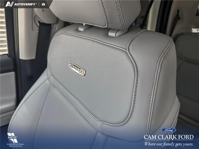 2025 Ford Expedition Platinum (Stk: P7095) in Olds - Image 19 of 24