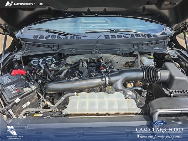 2024 Ford F-150 Tremor (Stk: U38217) in Red Deer - Image 10 of 25