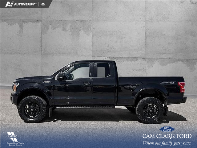 2019 Ford F-150 XLT (Stk: P1273) in Innisfail - Image 3 of 19