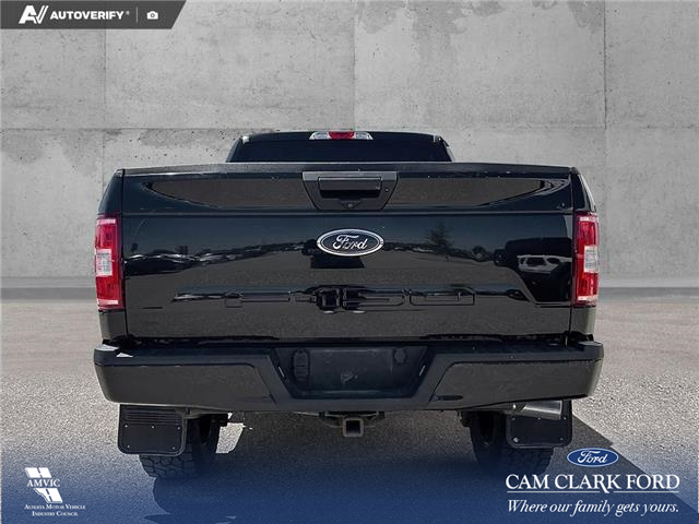 2019 Ford F-150 XLT (Stk: P1273) in Innisfail - Image 5 of 19