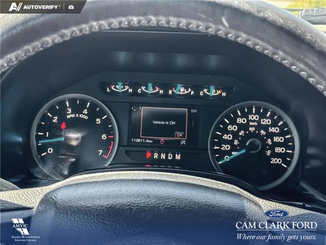 2019 Ford F-150 XLT (Stk: P1273) in Innisfail - Image 11 of 19