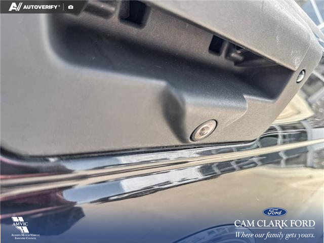 2019 Ford F-150 XLT (Stk: P1273) in Innisfail - Image 17 of 19