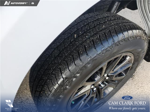 2025 Ford F-150 Platinum (Stk: U38027) in Red Deer - Image 7 of 25