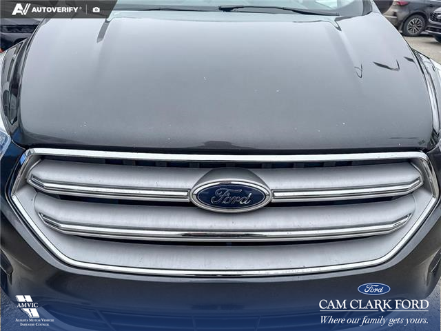 2019 Ford Escape SE (Stk: P7003) in Olds - Image 9 of 25