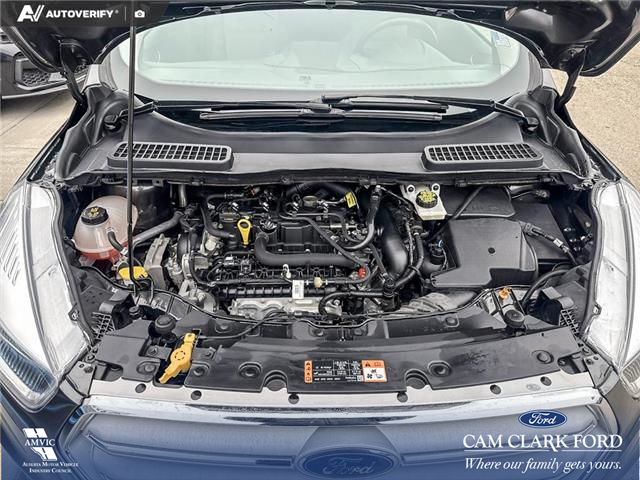 2019 Ford Escape SE (Stk: P7003) in Olds - Image 10 of 25