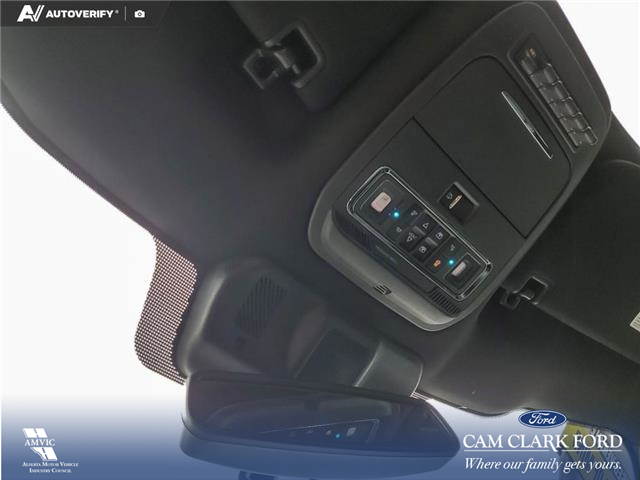 2024 Ford F-150 Raptor (Stk: U38109) in Red Deer - Image 20 of 24