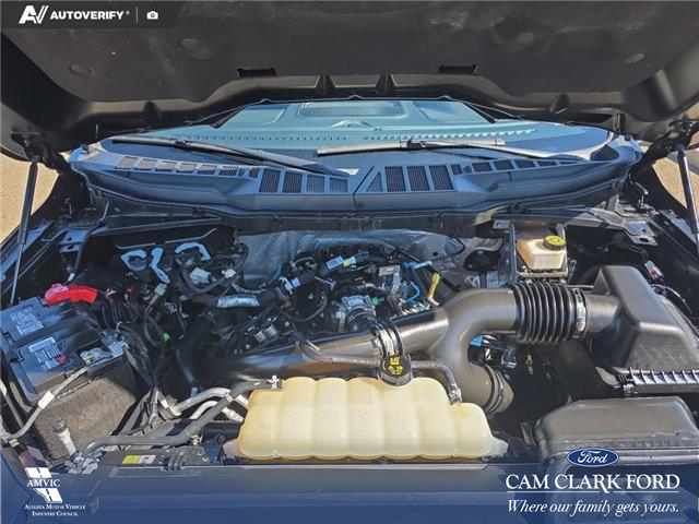 2024 Ford F-150 XLT (Stk: U38197) in Red Deer - Image 9 of 22