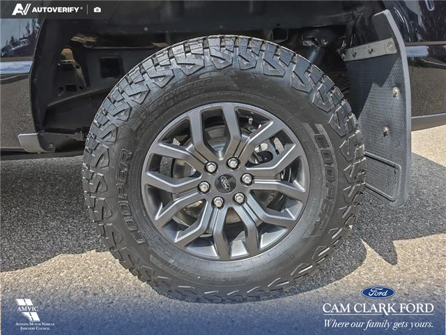 2024 Ford F-150 Tremor (Stk: U38217) in Red Deer - Image 6 of 25