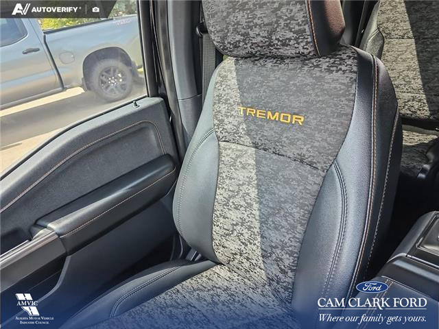2024 Ford F-150 Tremor (Stk: U38217) in Red Deer - Image 20 of 25
