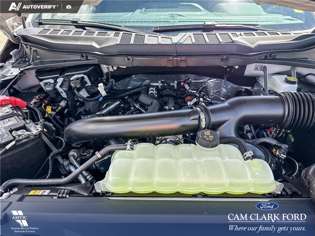 2026 Ford F-150 XLT (Stk: 26T0699) in Red Deer - Image 10 of 24