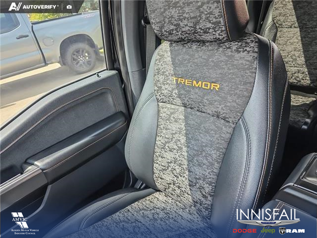 2024 Ford F-150 Tremor (Stk: U38217) in Red Deer - Image 20 of 25