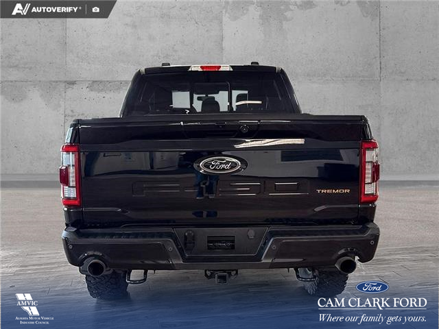 2023 Ford F-150 Tremor (Stk: P15184) in Airdrie - Image 5 of 25
