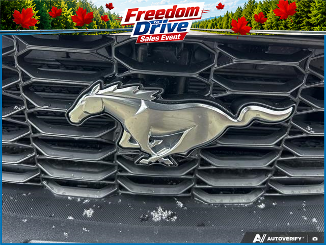 2026 Ford Mustang EcoBoost (Stk: OFL6G009) in Oakville - Image 9 of 23