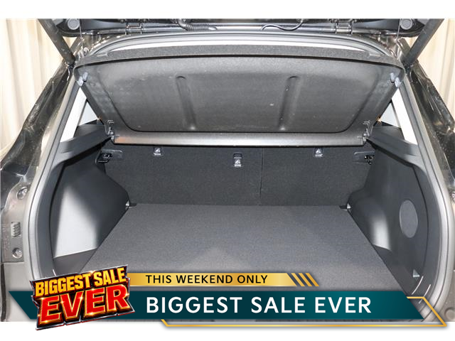 2025 Kia Seltos SX w/Brown Interior (Stk: 25883) in Edmonton - Image 27 of 30