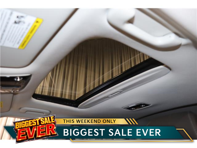 2026 Kia Seltos SX w/Black Interior (Stk: 26549) in Edmonton - Image 11 of 29