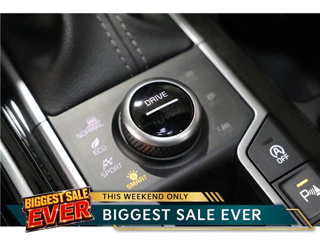 2024 Kia Sorento 2.5T X-Pro w/Black Interior (Stk: 25738) in Edmonton - Image 28 of 36