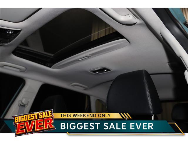 2026 Kia Seltos SX w/Black Interior (Stk: 27230) in Edmonton - Image 13 of 33
