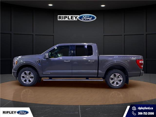 2022 Ford F-150 Platinum (Stk: 25496B) in Melfort - Image 8 of 15
