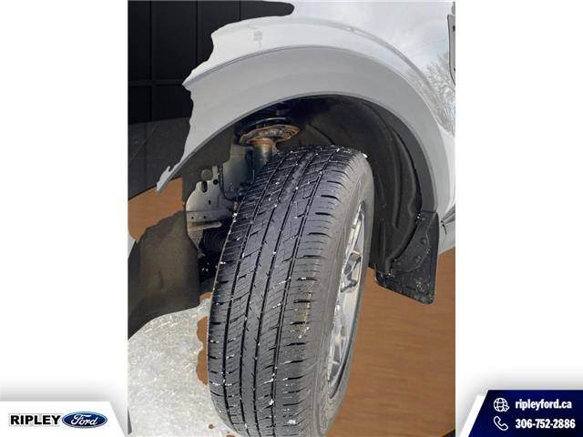 2023 Ford Bronco Sport Big Bend (Stk: P25048) in Melfort - Image 12 of 12