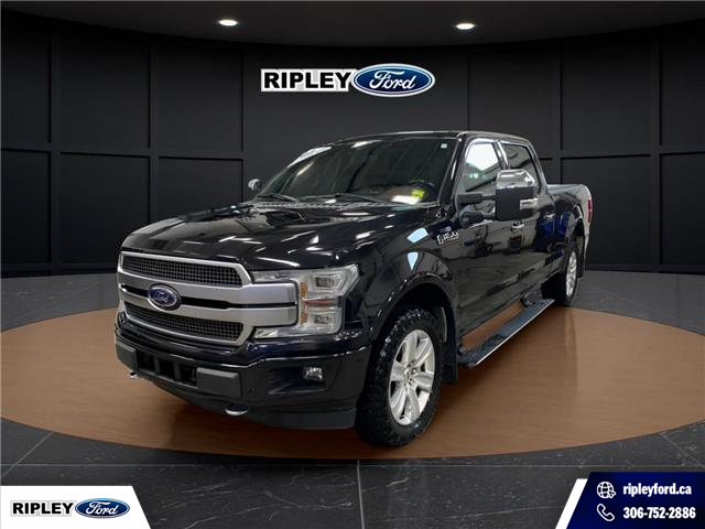 2019 Ford F-150 Platinum (Stk: 25047B) in Melfort - Image 1 of 20
