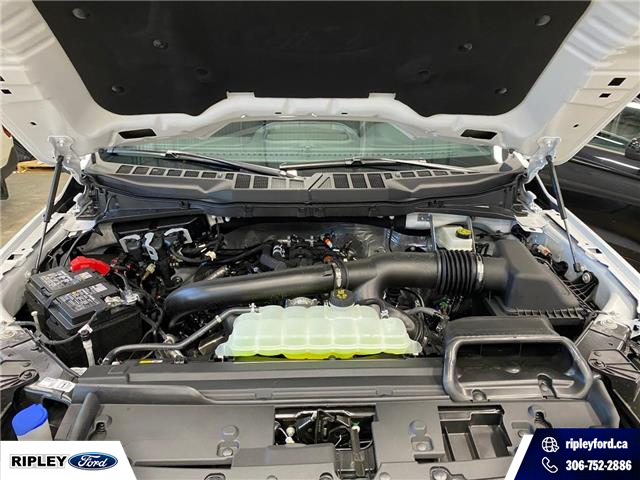2026 Ford F-150 XLT (Stk: 26098) in Melfort - Image 10 of 17