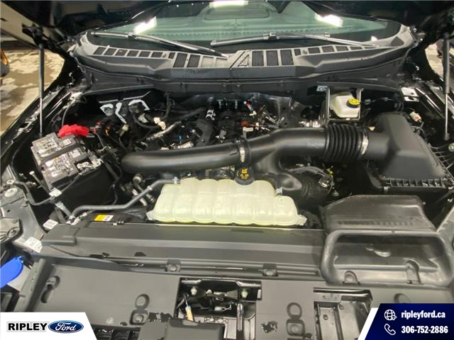 2026 Ford F-150 XLT (Stk: 26138) in Melfort - Image 10 of 17