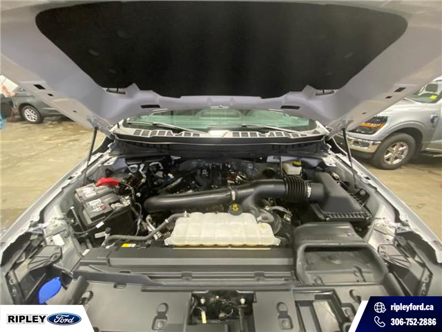 2024 Ford F-150 Tremor (Stk: 26186A) in Melfort - Image 11 of 19